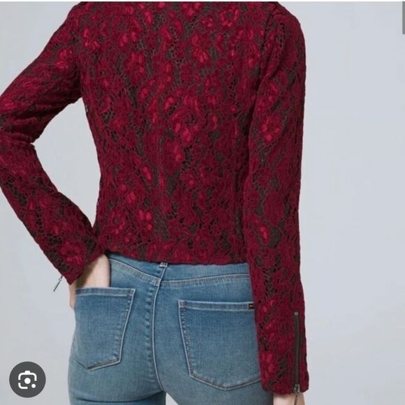 NWT❤️WHBM Lace Moto Jacket size M - Picture 4 of 15
